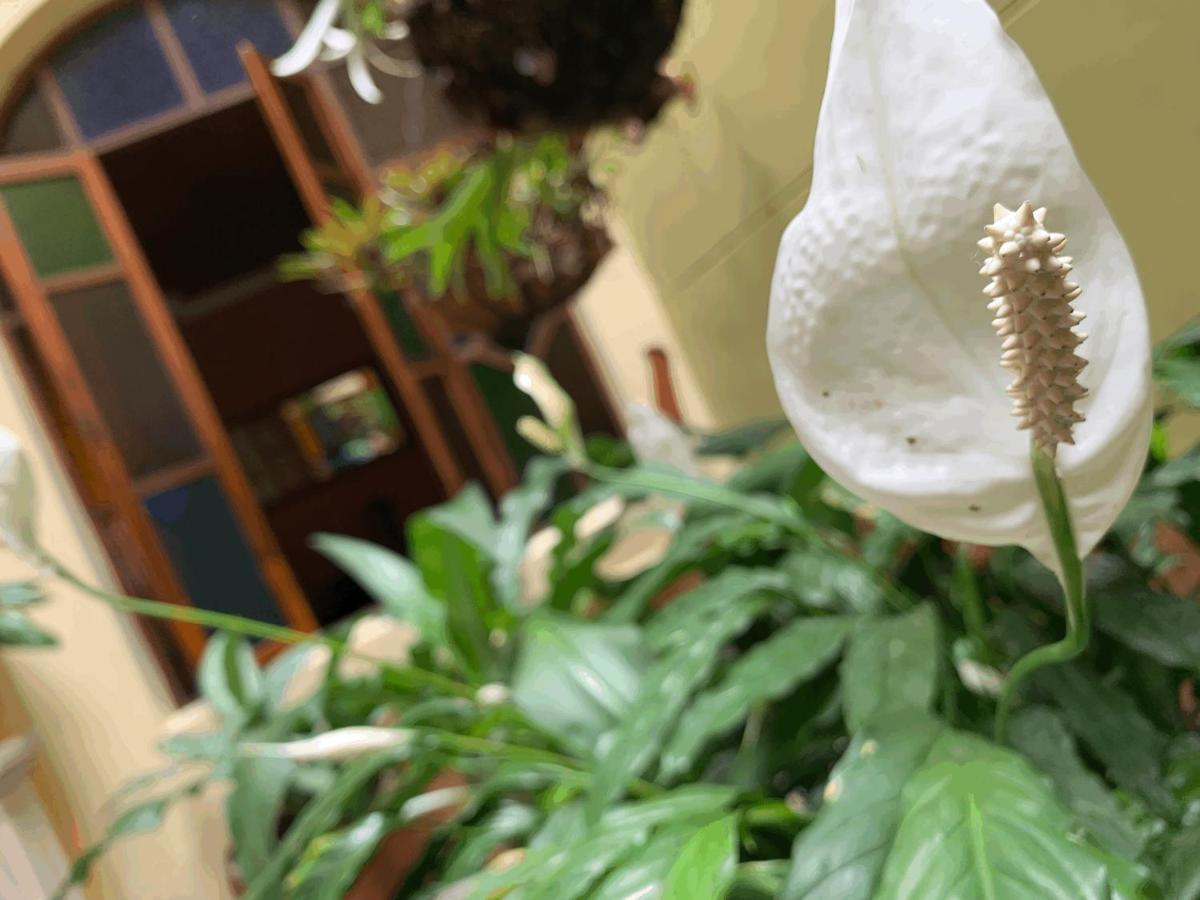 شقة Casa Grande ميديلين المظهر الخارجي الصورة