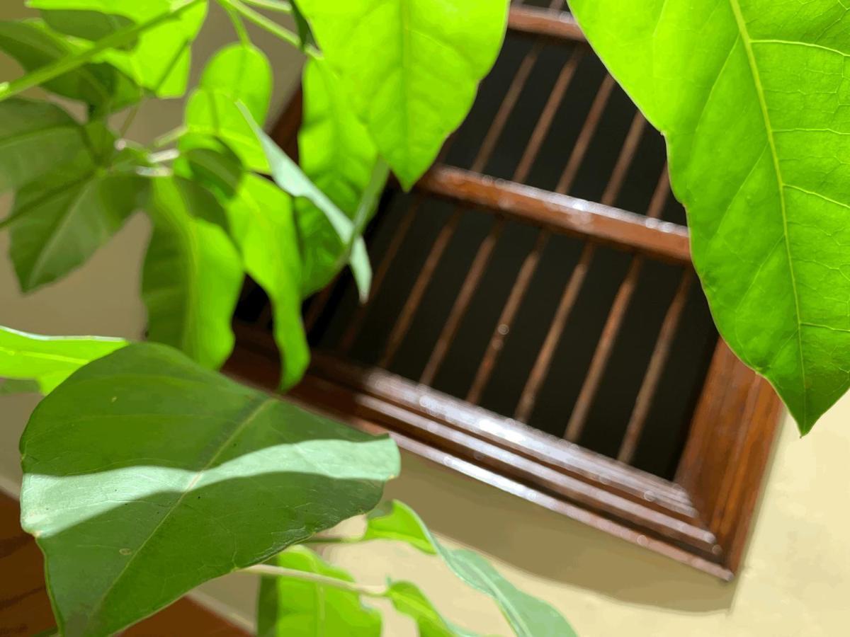 شقة Casa Grande ميديلين المظهر الخارجي الصورة