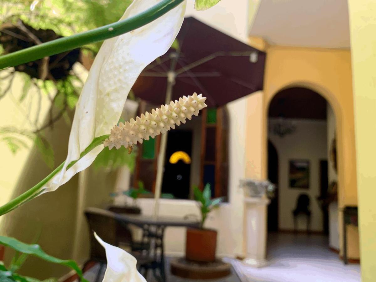 شقة Casa Grande ميديلين المظهر الخارجي الصورة