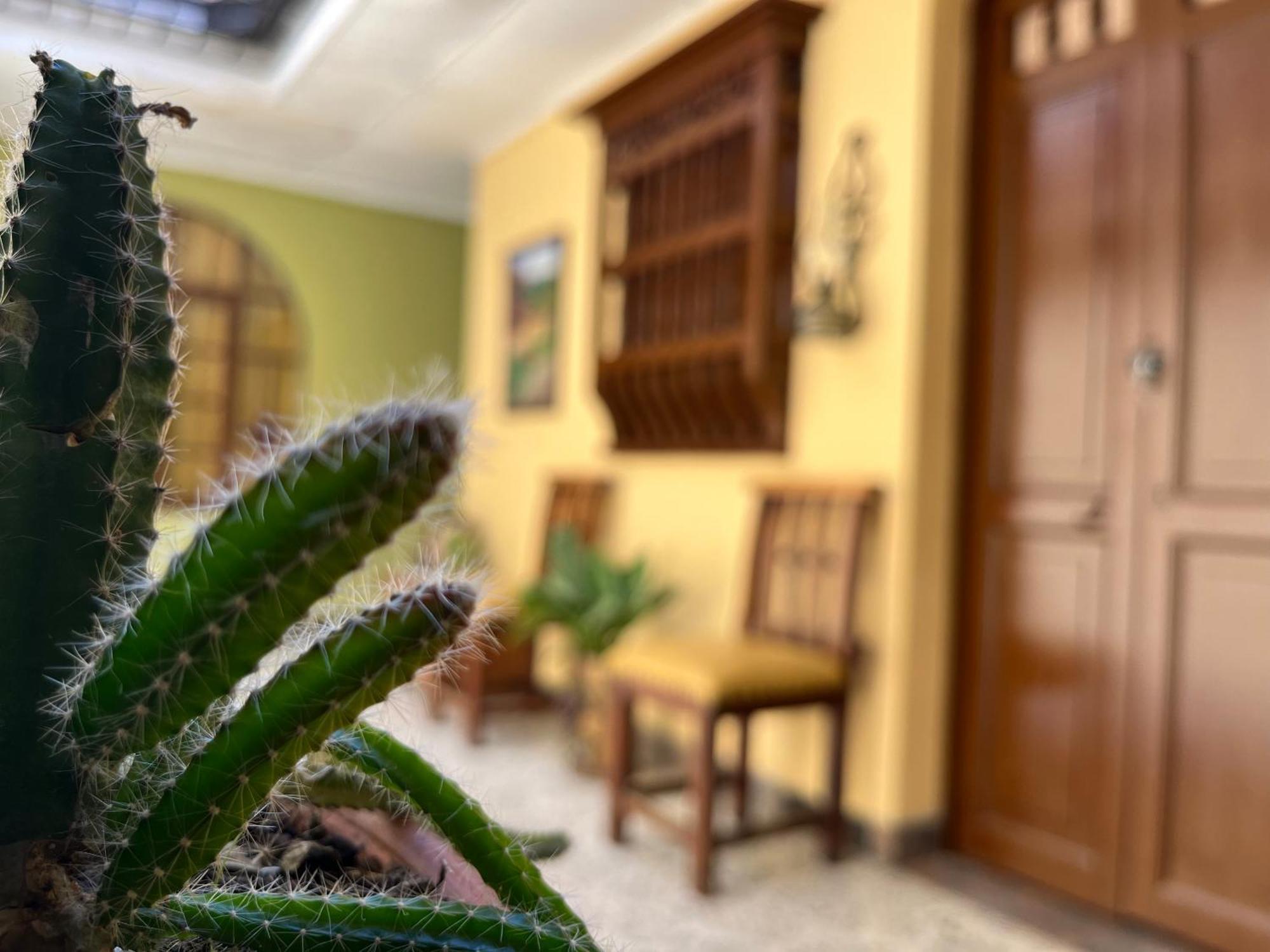 شقة Casa Grande ميديلين المظهر الخارجي الصورة